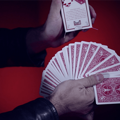 Prison Deck by Joao Miranda Magic Owl Supplies bei Deinparadies.ch