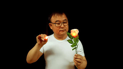 Rose Light set RED by JL Magic JL Magic bei Deinparadies.ch