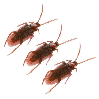 Kakerlaken 5er Set Erfurth bei Deinparadies.ch