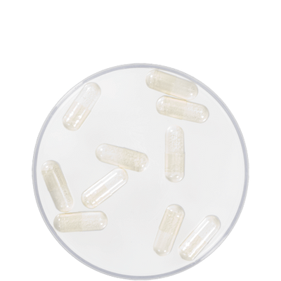 Schaumkapseln Dose (10 Stk.) Kryolan bei Deinparadies.ch