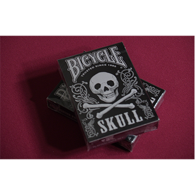 Bicycle Skull Metallic (Silver) USPCC by Gambler's Warehouse Gamblers Warehouse bei Deinparadies.ch