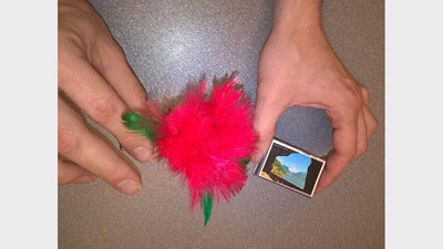 Streichholz-Blume Magic Owl Supplies bei Deinparadies.ch