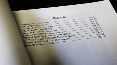 The End Times Book One by Ryan Matney Deinparadies.ch bei Deinparadies.ch