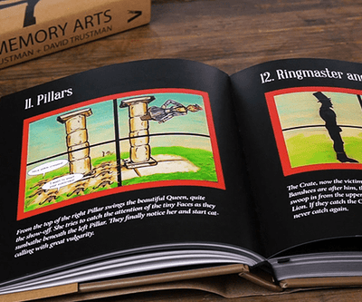 The Memory Arts by Sarah Trustman Vanishing Inc. bei Deinparadies.ch