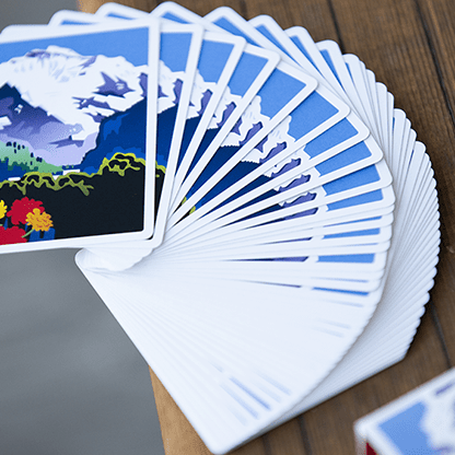 World Tour Switzerland Deck Vanishing Inc. bei Deinparadies.ch