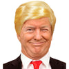Mr. President Trump Perücke