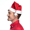 Babbo Natale con uno shaggy