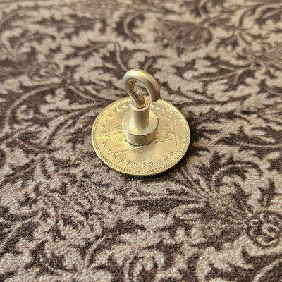 Shimmer coins with steel core 2 francs