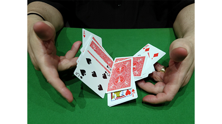 CIB: Cards In Bag | Dominique Duvivier 