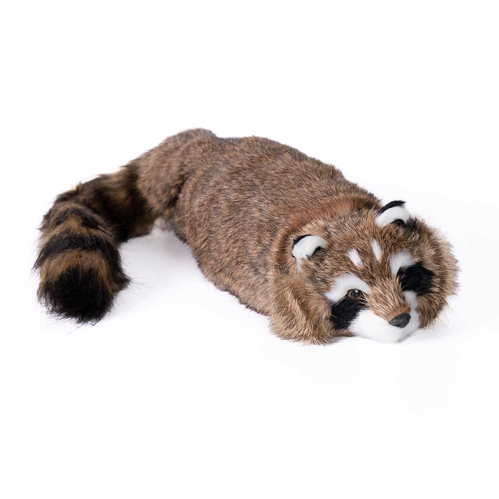 Reality Raccoon Spring Animal | Limited Edition