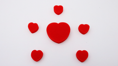 Sponge Heart Set (Red) | Goshman
