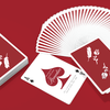 Remedies Playing Cards | Madison x Schneider