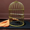 Tommy Wonder Classic Collection Flying Birdcage | JM Craft 