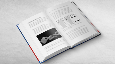 Rainman | Vincent Hedan