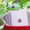 Lucky Ladybug (Log) | Joshua Ray & Deuce Gala Magic