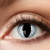 Contact lenses white dragon