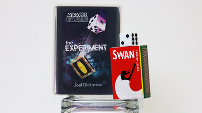 THE EXPERIMENT | Joel Dickinson