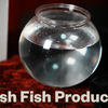 Flash Fish Production | LT Magic