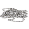 Endless Chain (Silver)