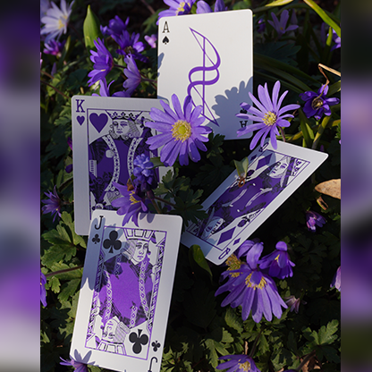 Dream of Butterflies | YD Cards