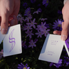 Dream of Butterflies | YD Cards