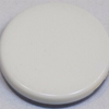 The Crated Coin | Mark Strivings