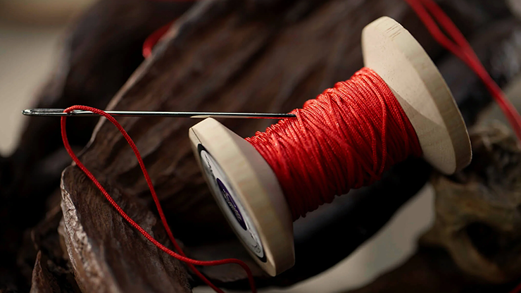 Needle Thru Coin | Nathan Kranzo