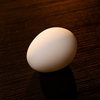 The Egg | Murphy's Magic