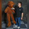 Teddy Bear Appearance (Medium) | MS Magic