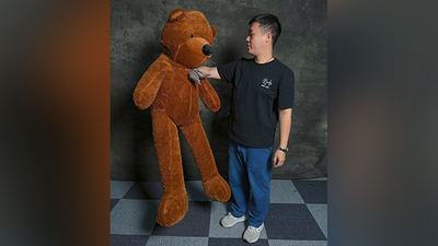 Teddy Bear Appearance (Medium) | MS Magic