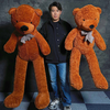 Teddy Bear Appearance (Large) | MS Magic