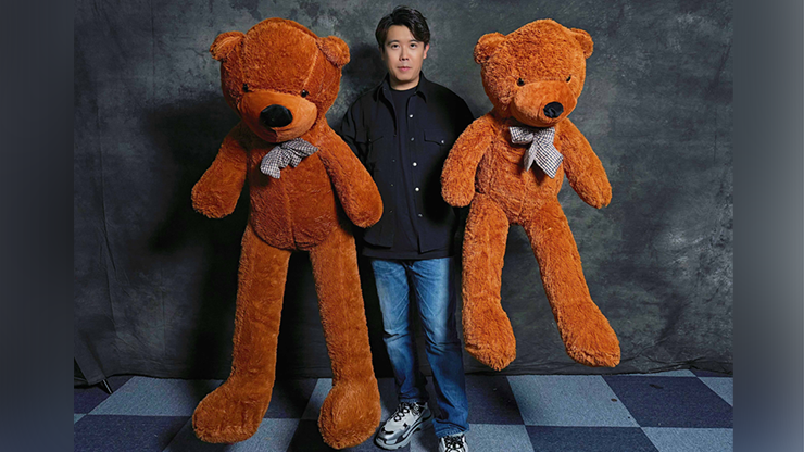 Teddy Bear Appearance (Large) | MS Magic