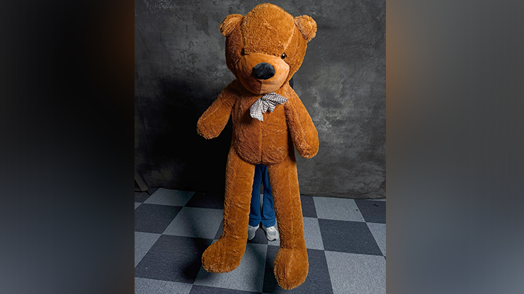 Teddy Bear Appearance (Large) | MS Magic