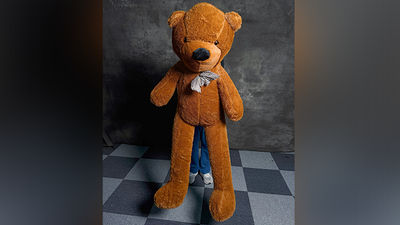 Teddy Bear Appearance (Large) | MS Magic