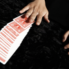 Black Art Close-up Pad Set (Medium) | Bond Lee & Stephen Chan