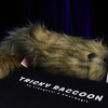 Tricky Raccoon | Liang Kuai & Amor Magic