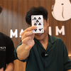 Tricky Raccoon | Liang Kuai & Amor Magic