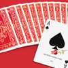 Red Roses Gold Foil Playing Cards (Fully Marked)