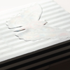 MOTHS (Stripe Edition) | Matthew Palladino