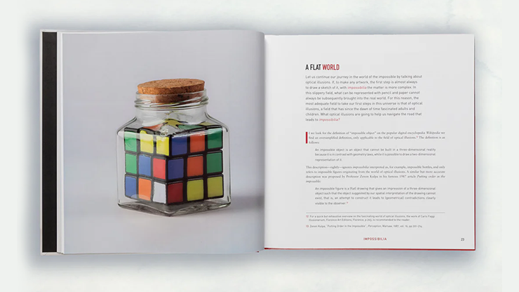 Impossibilia | Davide Fumagalli