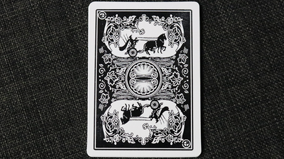 Carte acrobatiche | Two Cards Monte Combo Magic World di Uday Deinparadies.ch