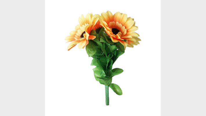 Amazing Split Sunflower | Premium Magic The Essel Magic at Deinparadies.ch