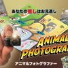 Animal photographer-PROMA-Deinparadies.ch