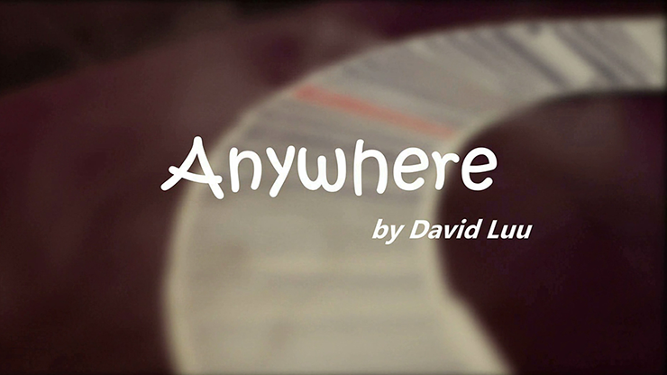 Anywhere by David Luu - Video Download Luu Duc Hieu bei Deinparadies.ch