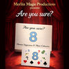 Are You Sure? | Damien Vappereau and Marc Céliandre-Merlin Magie-Deinparadies.ch