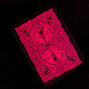 Bicycle Reverse (Pink) Playing Cards-Deinparadies.ch-Deinparadies.ch