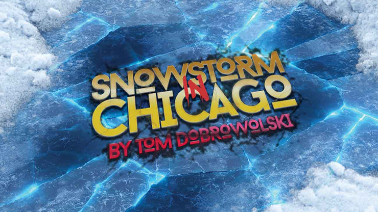 Bigblindmedia Presents Snowstorm In Chicago (Blue) | Tom Dobrowolski-Big Blind Media-Deinparadies.ch