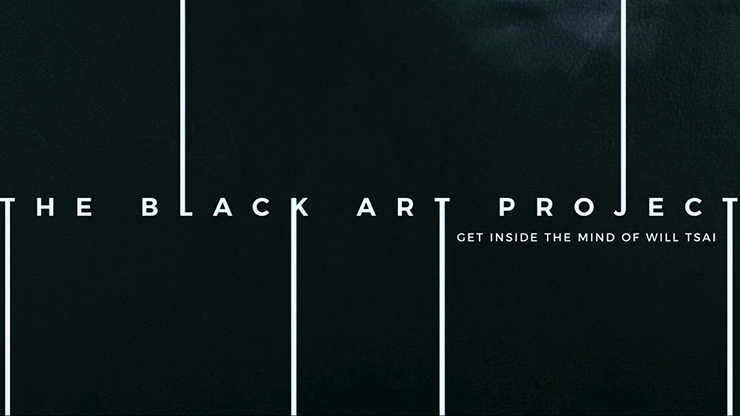 Black Art Project (2 DVD Set) by SansMinds SansMinds Productionz at Deinparadies.ch