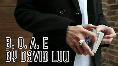 Blink Of An Eye by David Luu - Video Download Luu Duc Hieu bei Deinparadies.ch