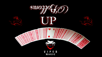 Bottoms UP by Viper Magic - Video Download Viper Magic bei Deinparadies.ch